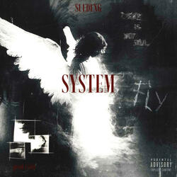 System