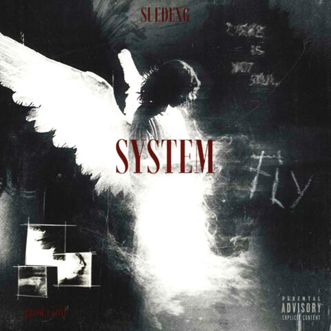 System