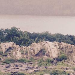 Could've Been a Landslide