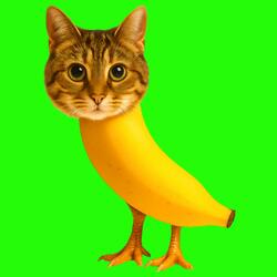OIIA OIIA CHICKEN BANANA Spinning CAT (XertXetin Remix)