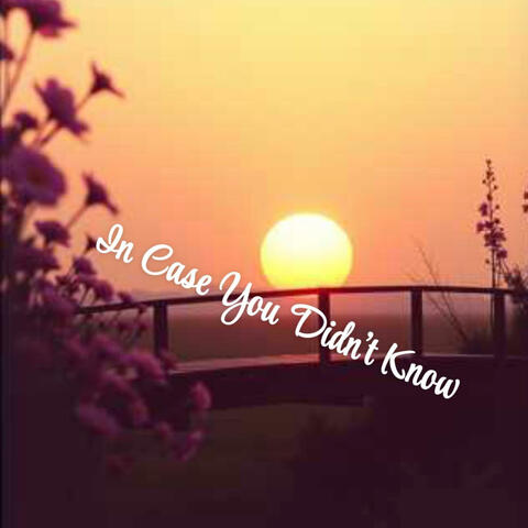 In case You Didnt Know