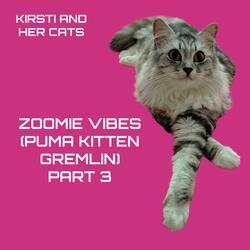 Zoomie Vibes Part 3 (Puma Kitten Gremlin)