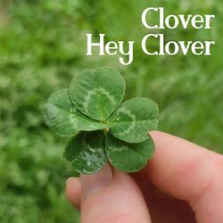 Clover, Hey Clover (Folk Punk Demo)