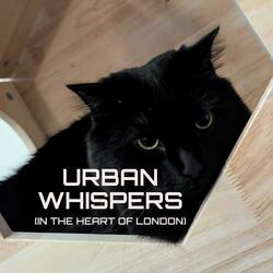 Urban Whispers (in the Heart of London)