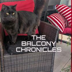 The Balcony Chronicles