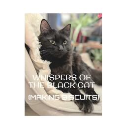 Whispers of the Black Cat (Making Biscuits)
