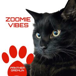 Zoomie Vibes (Panther Gremlin)