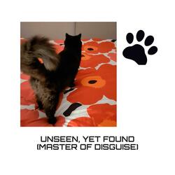 Unseen Yet Found (Master of Disguise)