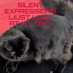 Silent Expressions (Just Look at my Tail)