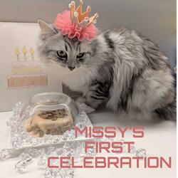 Missy's First Celebration