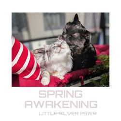 Spring Awakening (Little Silver Paws)