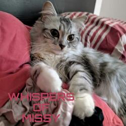 Whispers of Missy (Missy's Lullaby)
