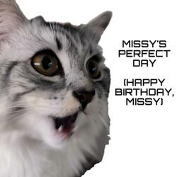Missy's Perfect Day (Happy Birthday, Missy!)