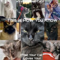 This is How You Know (That Your Cat Loves You)
