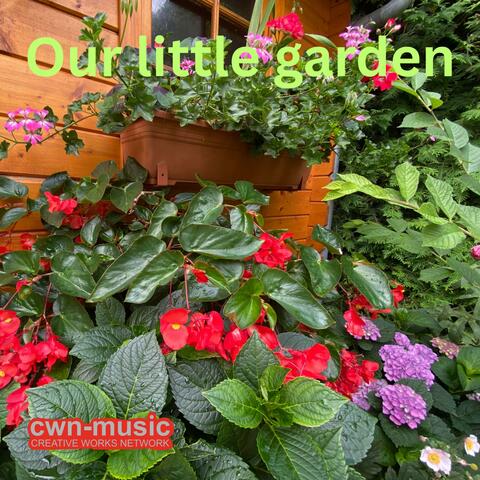 Our little garden