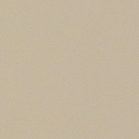 caucasian