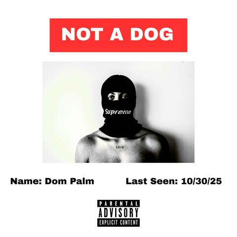 Not A Dog