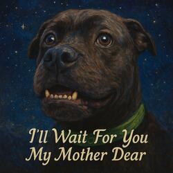 I’ll Wait For You My Mother Dear
