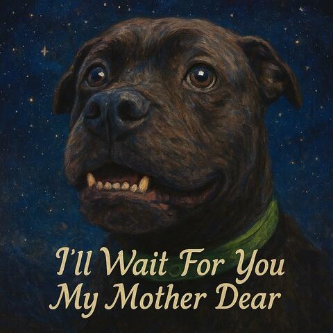 I’ll Wait For You My Mother Dear