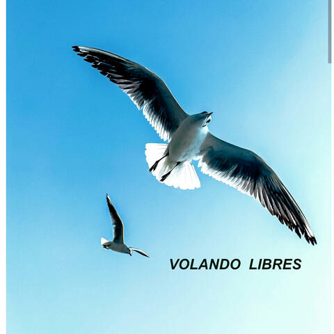 Volando Libres