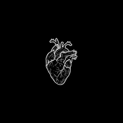 Your Heart