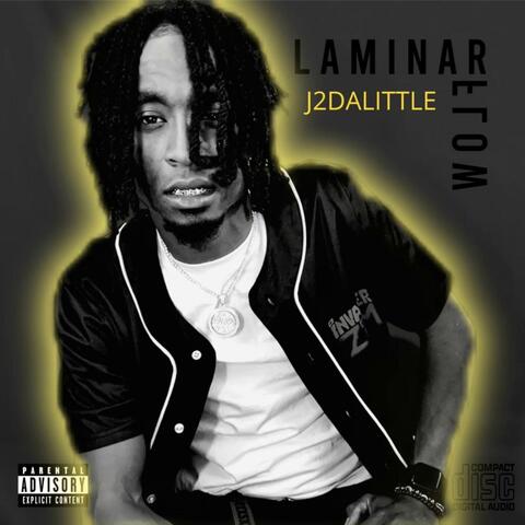 Laminar Flow (Radio edit)