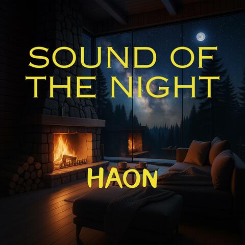 sound of the night