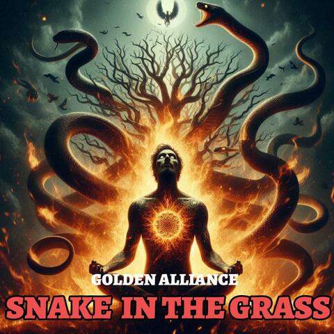 Snake In The Grass