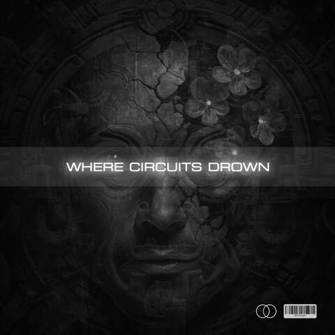 Where Circuits Drown