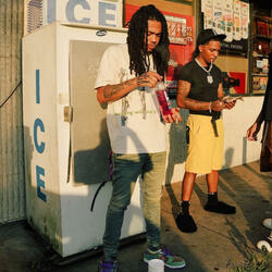 50 STATE SHORDY