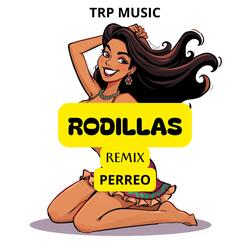 Rodillas (Perreo)