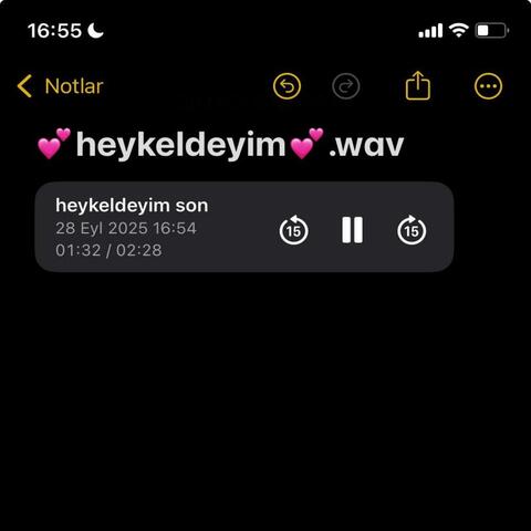heykeldeyim <3