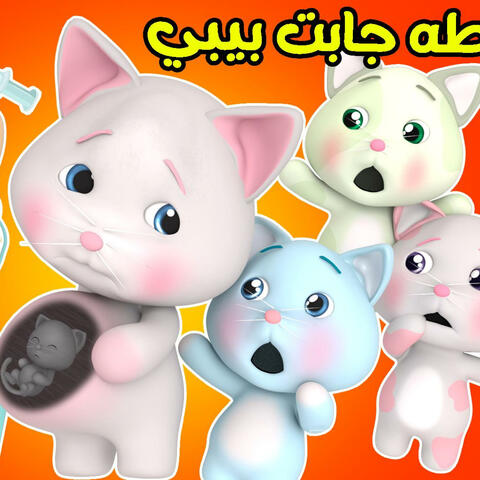 القطة جابت بيبي