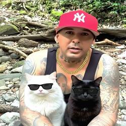 El Gato Relato Homenaje