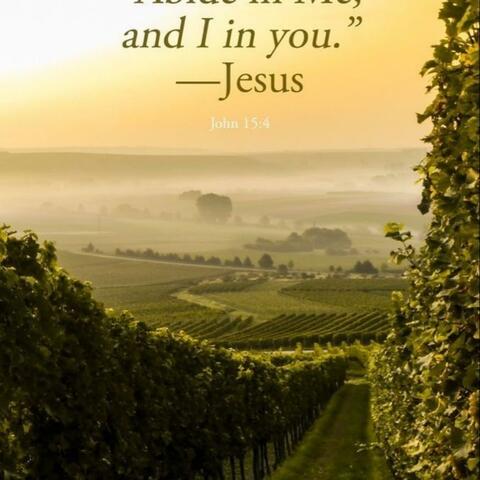 Jesus abide in me
