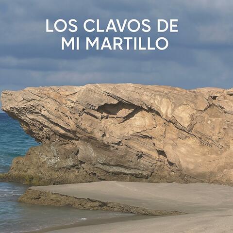 Los clavos de mi martillo