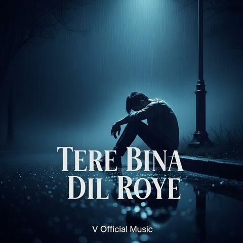 Tere Bina Dil Roye