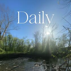 Daily