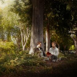 Corner of the Universe