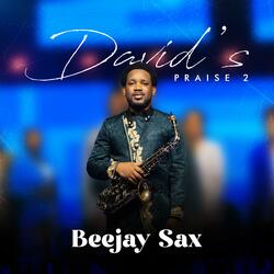 David's Praise 2