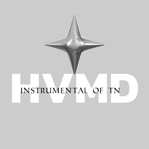 TN love Instrumental 1