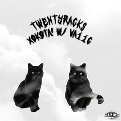 twenty racks (feat. va11c)