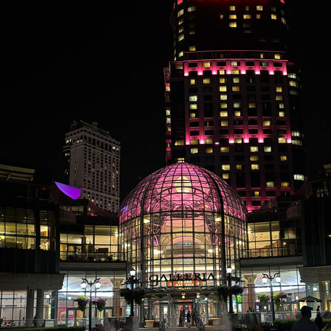 The Evening (feat. The Carnivorous Squirrels)