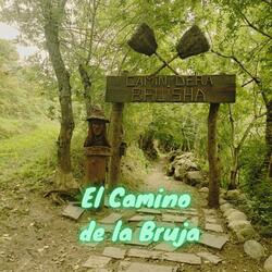 El Camino de la Bruja