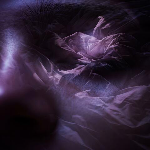 Closed Eyes, Given Solace in the Dark