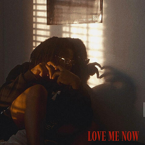 Love Me Now