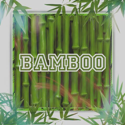 Bamboo