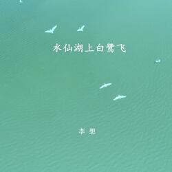 水仙湖上白鹭飞