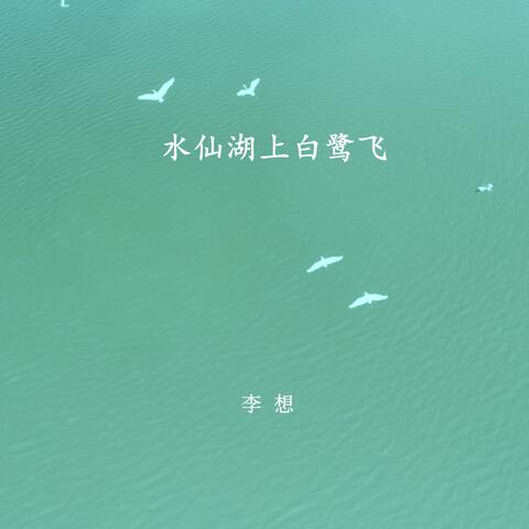 水仙湖上白鹭飞
