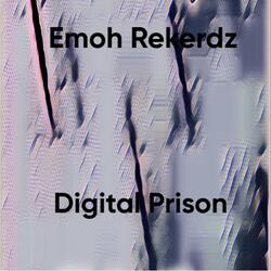 Digital Prison